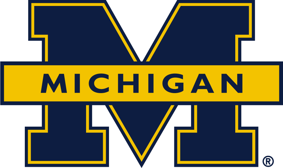 Michigan Wolverines 2016-Pres Secondary Logo v2 diy iron on heat transfer